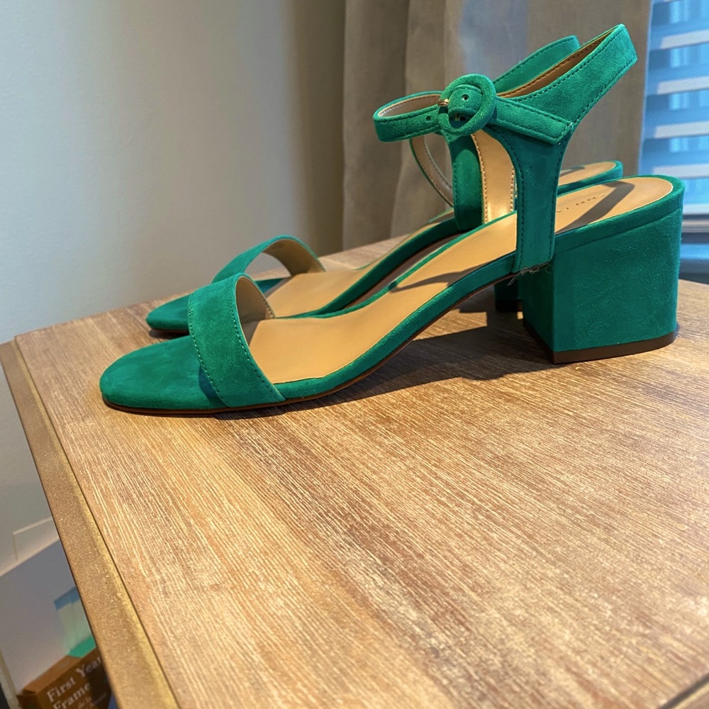 Brand New Ann Taylor Ankle Strap Block Heel Sandal